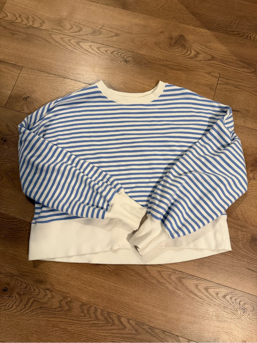 Aerie Striped Blue & White Crewneck Sweatshirt